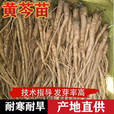 全國(guó)各行業(yè)企業(yè)/工廠(chǎng)_全國(guó)各行業(yè)供應(yīng)商