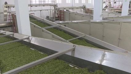 祁門(mén)縣:“信易貸”為企業(yè)釋放高質(zhì)量發(fā)展?jié)撃? />
</span>
<span id=